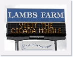 Lambs Farm, Amber Roadstar, 24x80 matrix)