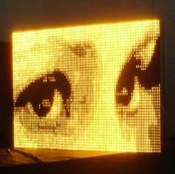 Amber_eyes.jpg